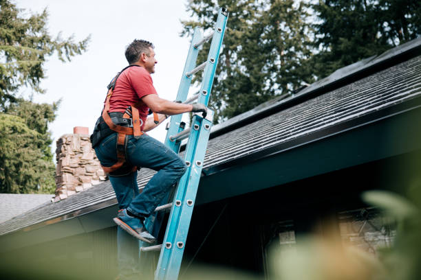 Best Roof Leak Repair  in Lyndon, KY